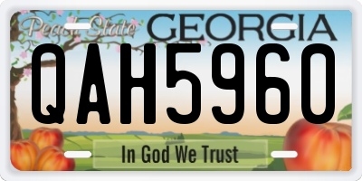 GA license plate QAH5960