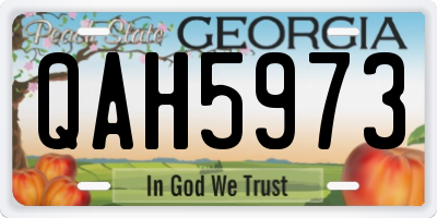 GA license plate QAH5973