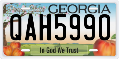 GA license plate QAH5990