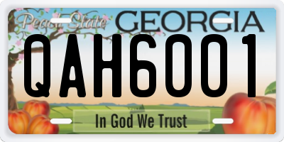 GA license plate QAH6001