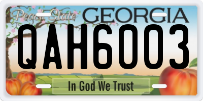 GA license plate QAH6003