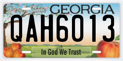 GA license plate QAH6013
