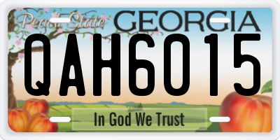 GA license plate QAH6015