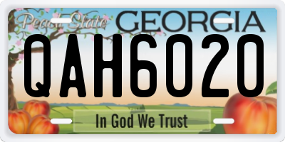 GA license plate QAH6020