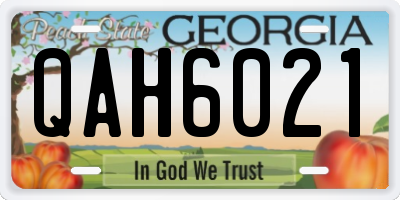 GA license plate QAH6021