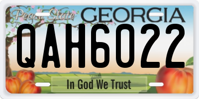 GA license plate QAH6022