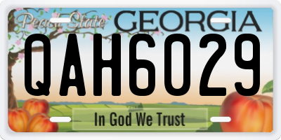 GA license plate QAH6029