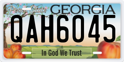 GA license plate QAH6045