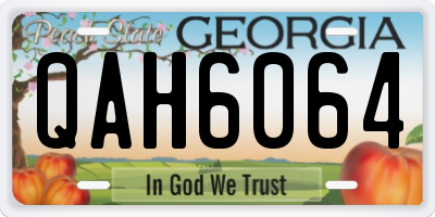 GA license plate QAH6064