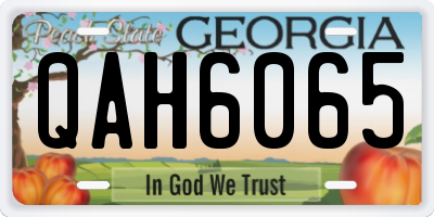GA license plate QAH6065