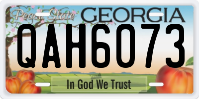 GA license plate QAH6073