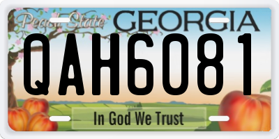 GA license plate QAH6081