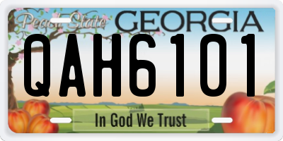 GA license plate QAH6101
