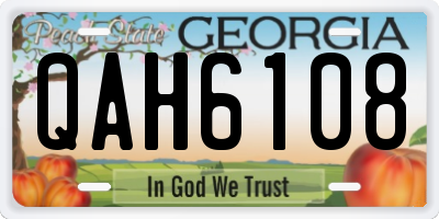 GA license plate QAH6108