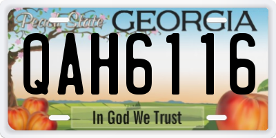 GA license plate QAH6116