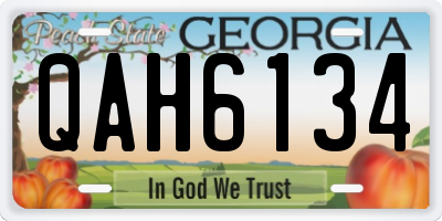 GA license plate QAH6134