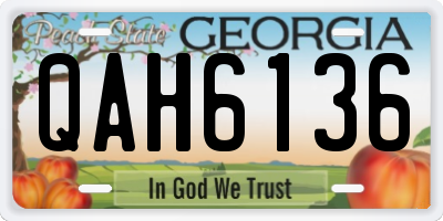 GA license plate QAH6136