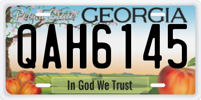 GA license plate QAH6145