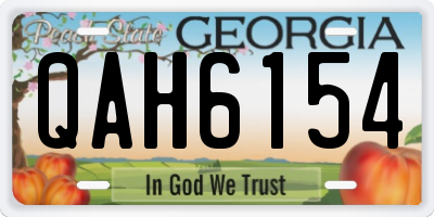 GA license plate QAH6154