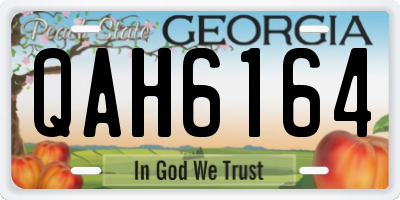 GA license plate QAH6164