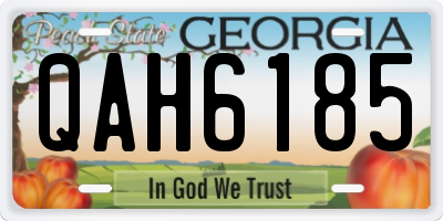 GA license plate QAH6185