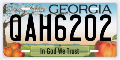 GA license plate QAH6202