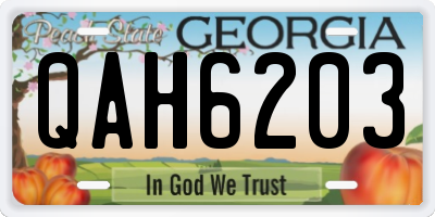 GA license plate QAH6203