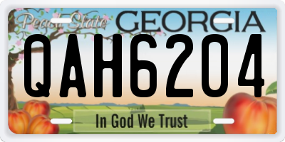 GA license plate QAH6204