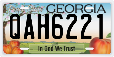 GA license plate QAH6221