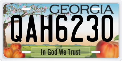 GA license plate QAH6230