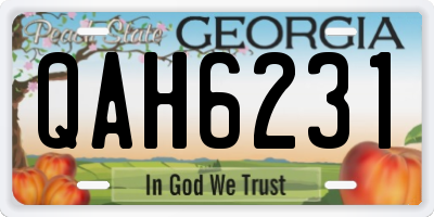 GA license plate QAH6231