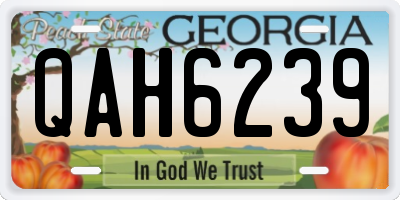 GA license plate QAH6239