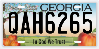 GA license plate QAH6265