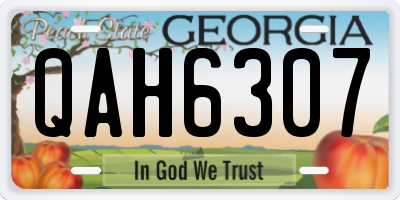 GA license plate QAH6307
