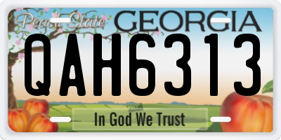 GA license plate QAH6313