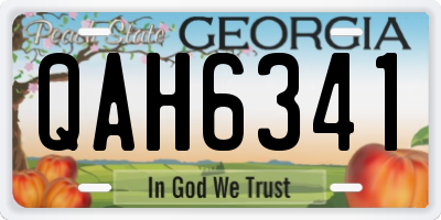 GA license plate QAH6341
