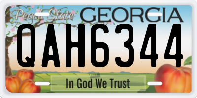 GA license plate QAH6344