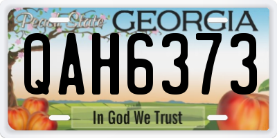 GA license plate QAH6373