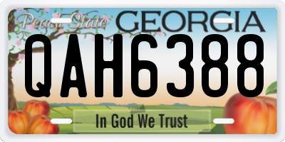 GA license plate QAH6388