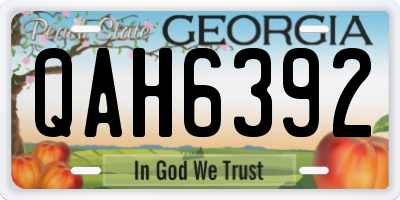 GA license plate QAH6392
