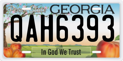 GA license plate QAH6393