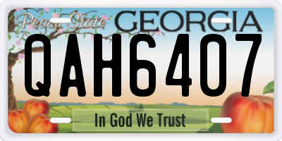 GA license plate QAH6407