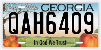 GA license plate QAH6409
