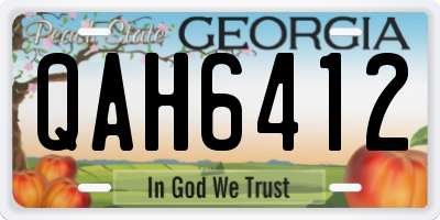 GA license plate QAH6412