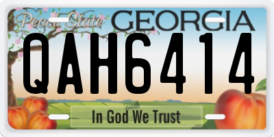 GA license plate QAH6414