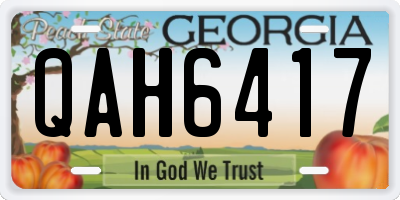 GA license plate QAH6417