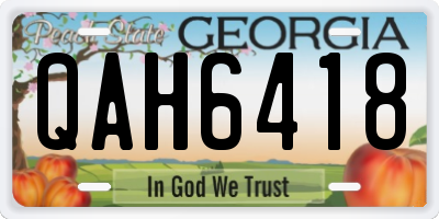 GA license plate QAH6418