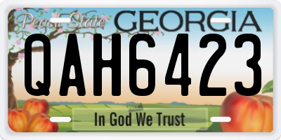 GA license plate QAH6423