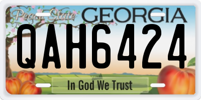 GA license plate QAH6424