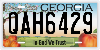 GA license plate QAH6429